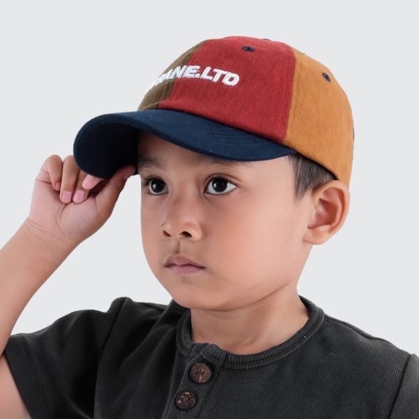 Topi